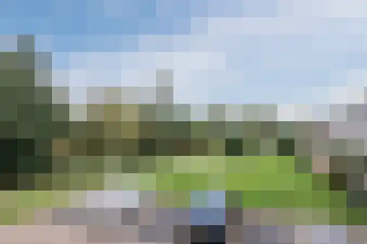 Zuwe 54 Bodegraven thumbnail 35