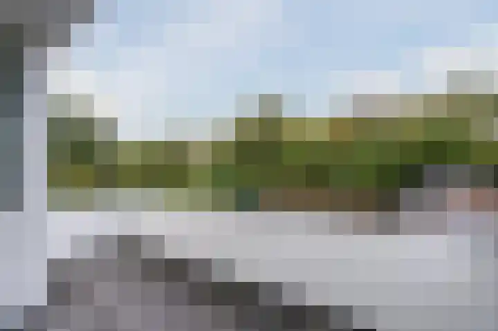 Zuwe 54 Bodegraven thumbnail 40