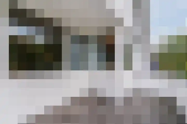 Zuwe 54 Bodegraven thumbnail 41