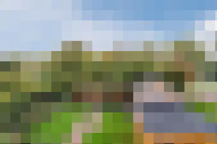 Zuwe 54 Bodegraven thumbnail 42