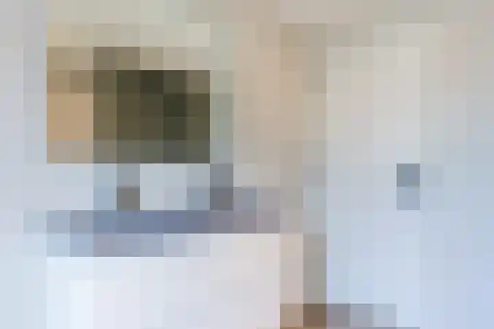 Zuwe 54 Bodegraven thumbnail 44