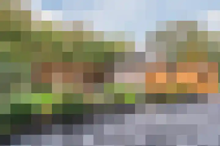 Zuwe 54 Bodegraven thumbnail 54