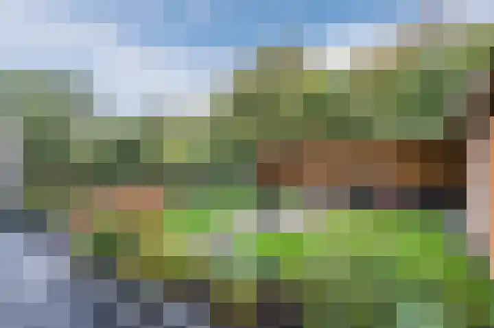 Zuwe 54 Bodegraven thumbnail 55