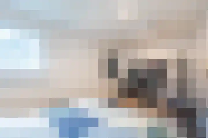 Zuwe 54 Bodegraven thumbnail 60