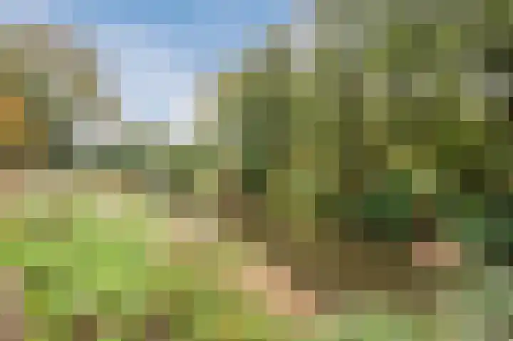 Zuwe 54 Bodegraven thumbnail 64