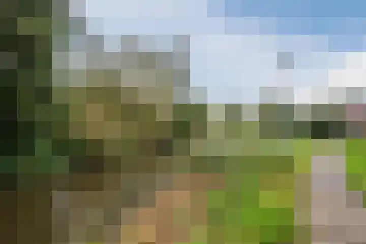 Zuwe 54 Bodegraven thumbnail 65