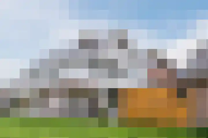 Zuwe 54 Bodegraven thumbnail 7