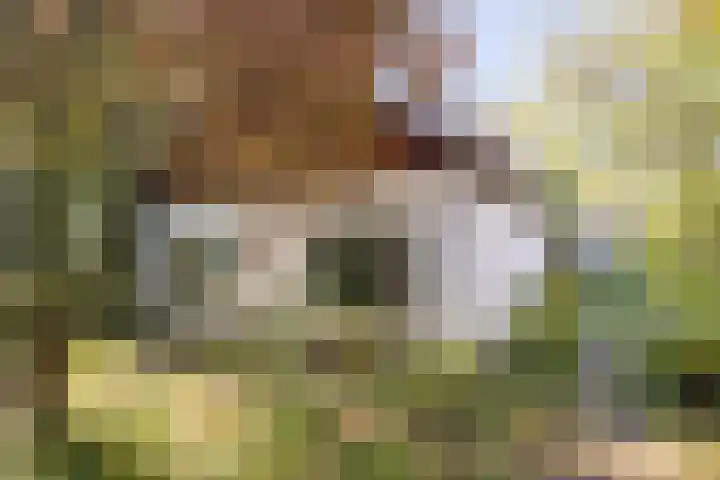 Logo Zuyd Makelaardij & Vastgoed