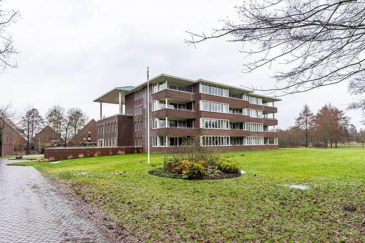 Zwaan 2 in Groningen