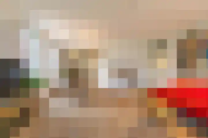 Zwaan 2 Groningen thumbnail 12