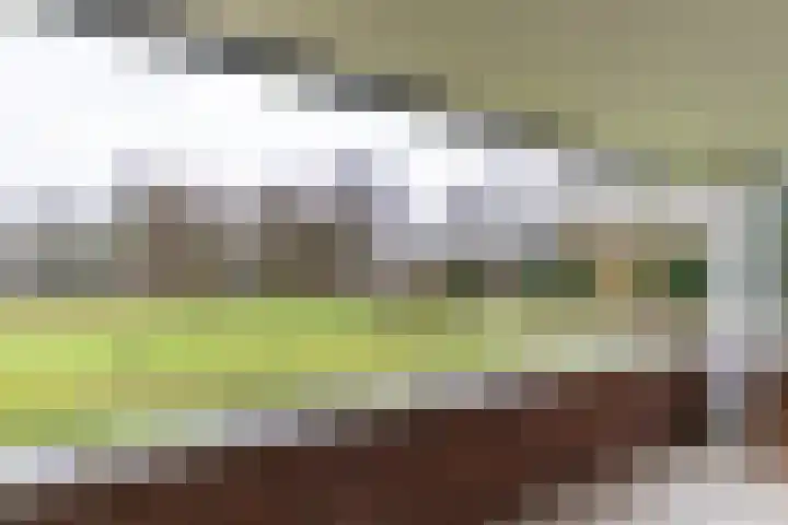 Zwaan 2 Groningen thumbnail 16
