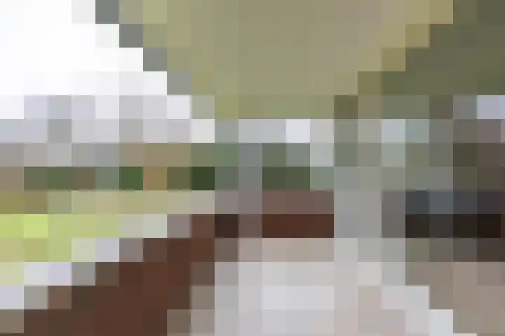 Zwaan 2 Groningen thumbnail 17