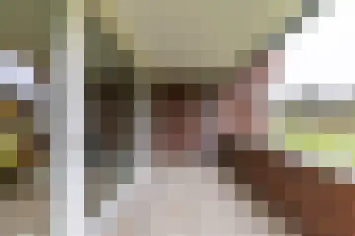 Zwaan 2 Groningen thumbnail 18