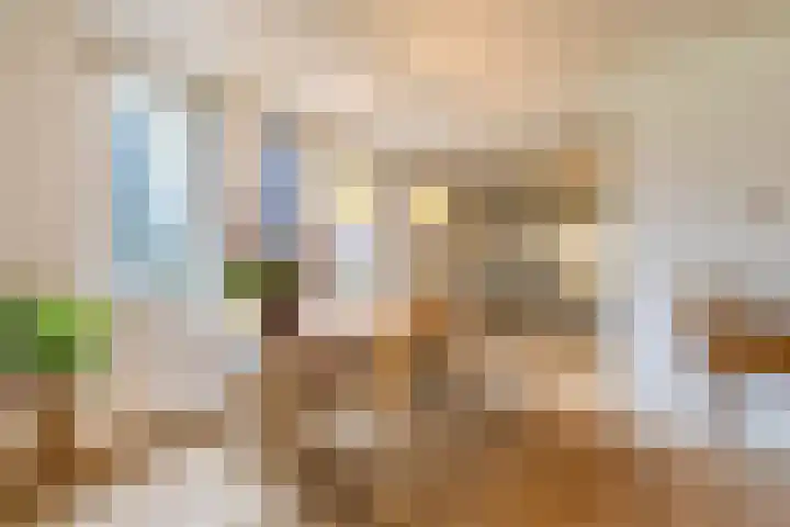 Zwaan 2 Groningen thumbnail 20