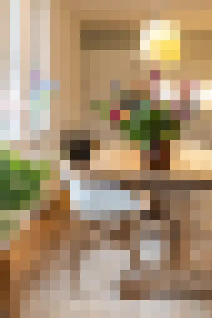 Zwaan 2 Groningen thumbnail 21