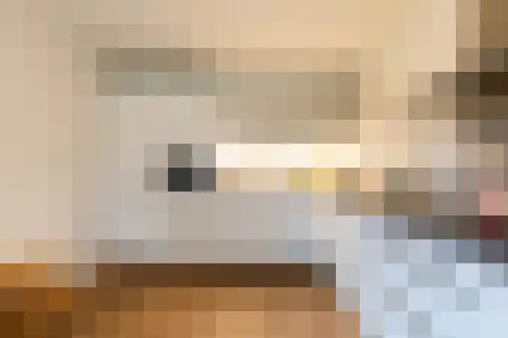 Zwaan 2 Groningen thumbnail 22