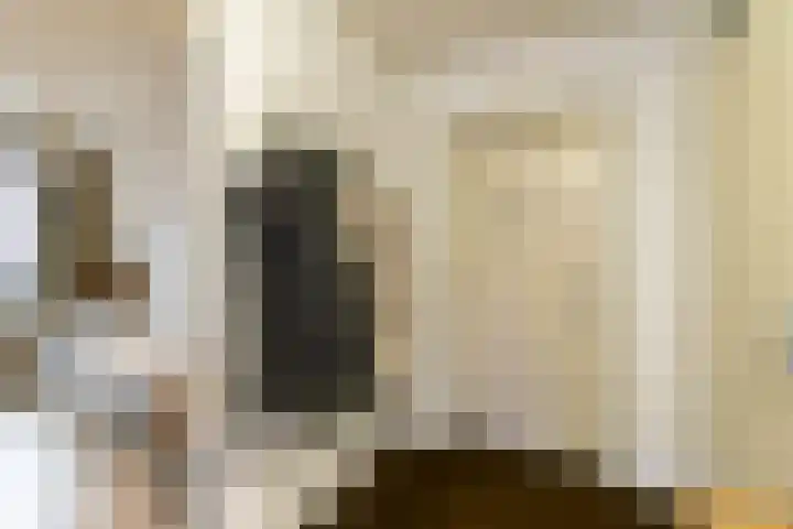 Zwaan 2 Groningen thumbnail 28