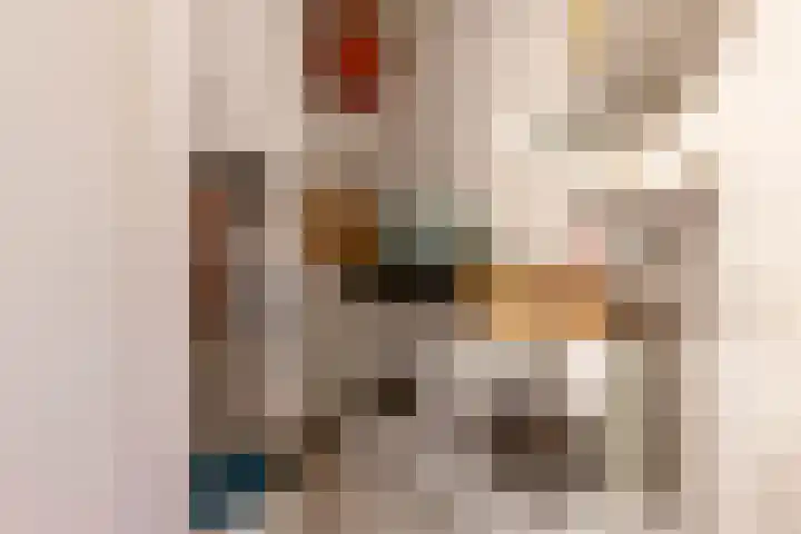 Zwaan 2 Groningen thumbnail 33