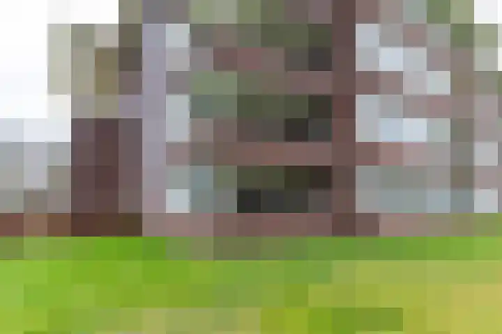 Zwaan 2 Groningen thumbnail 37