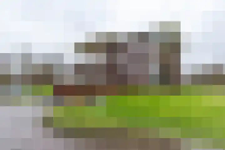 Zwaan 2 Groningen thumbnail 38