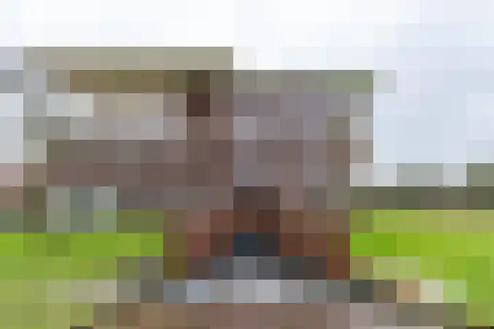 Zwaan 2 Groningen thumbnail 39