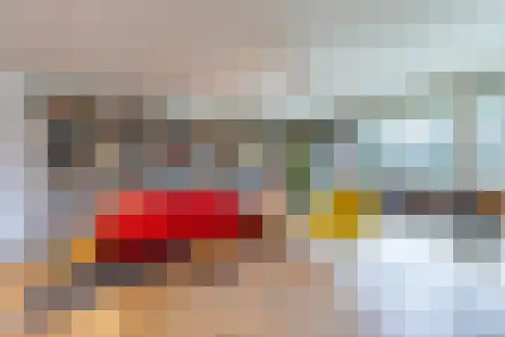 Zwaan 2 Groningen thumbnail 9