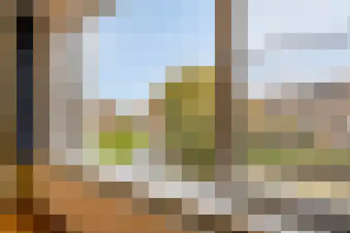 Zwaan 77 Zoeterwoude thumbnail 12
