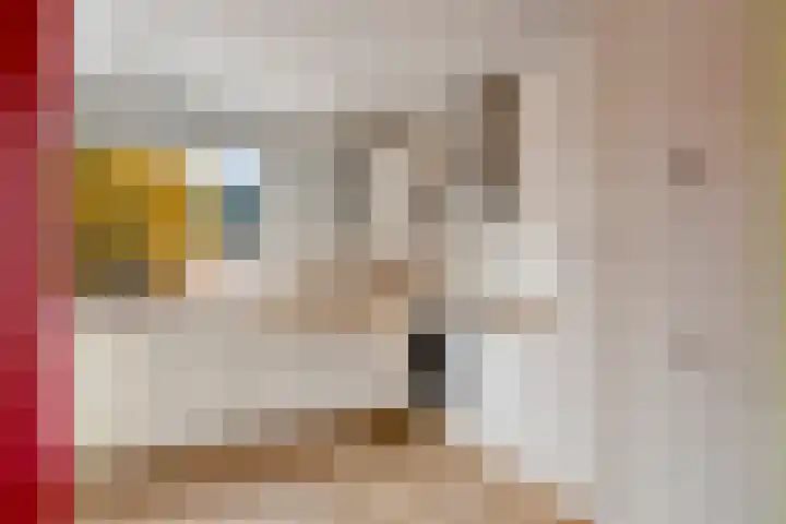 Zwaan 77 Zoeterwoude thumbnail 14