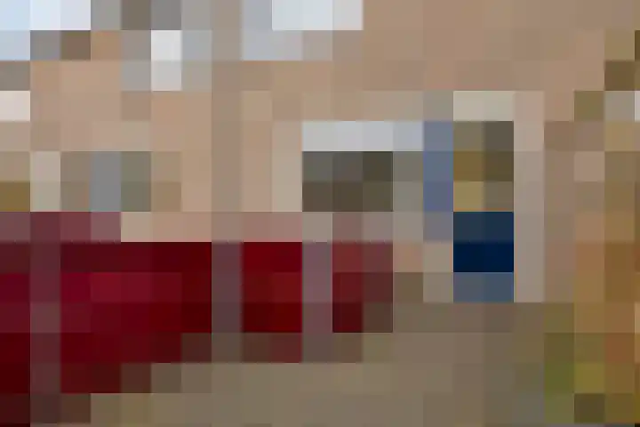 Zwaan 77 Zoeterwoude thumbnail 21
