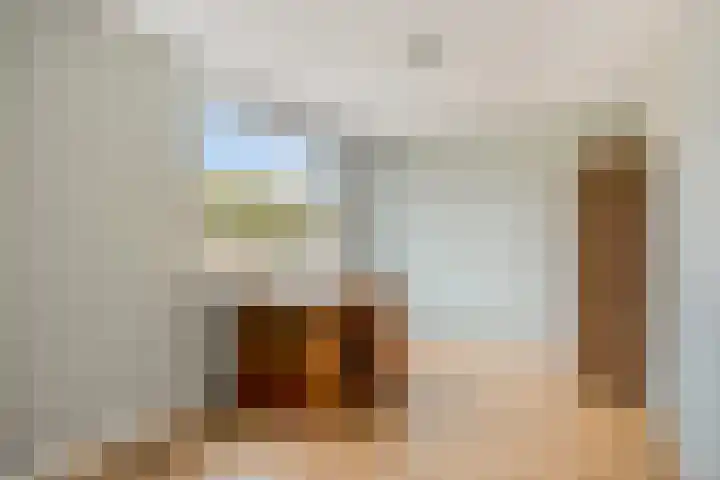 Zwaan 77 Zoeterwoude thumbnail 24