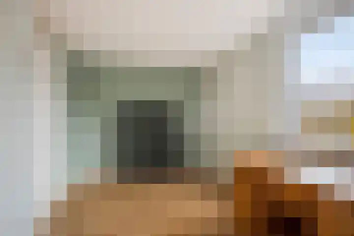 Zwaan 77 Zoeterwoude thumbnail 25
