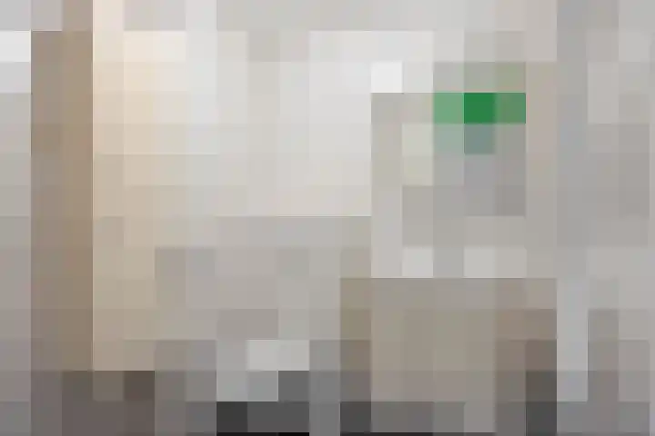 Zwaan 77 Zoeterwoude thumbnail 26