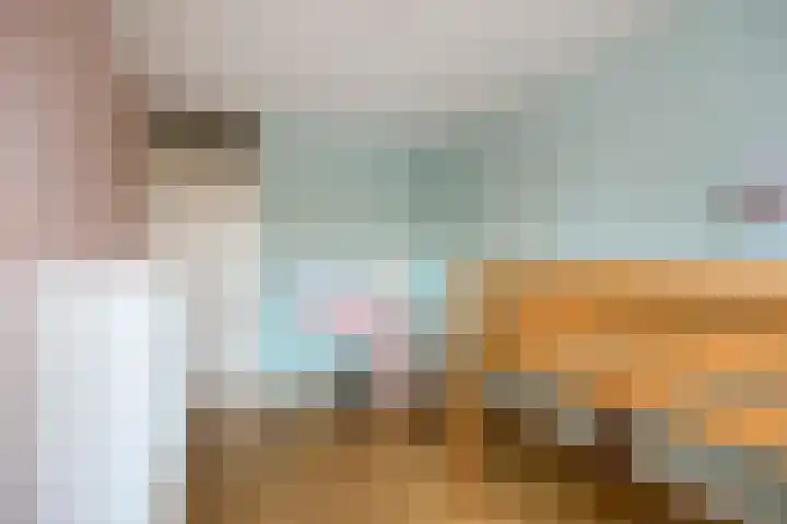 Zwaan 77 Zoeterwoude thumbnail 29