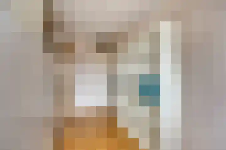 Zwaan 77 Zoeterwoude thumbnail 31