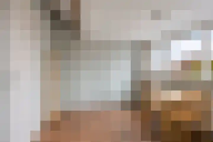 Zwaan 77 Zoeterwoude thumbnail 34
