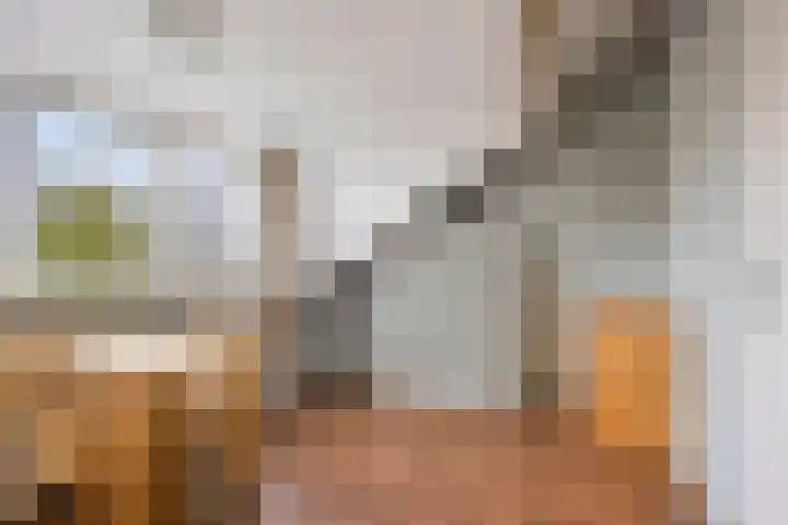 Zwaan 77 Zoeterwoude thumbnail 35