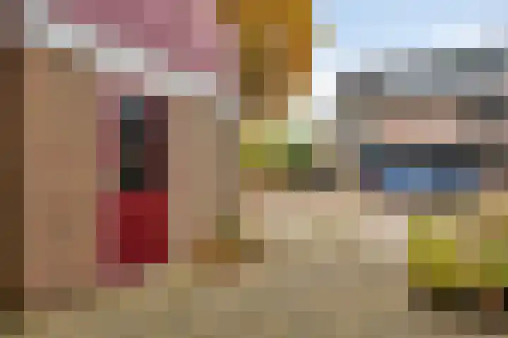 Zwaan 77 Zoeterwoude thumbnail 36