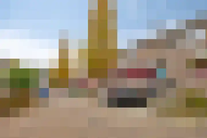 Zwaan 77 Zoeterwoude thumbnail 4