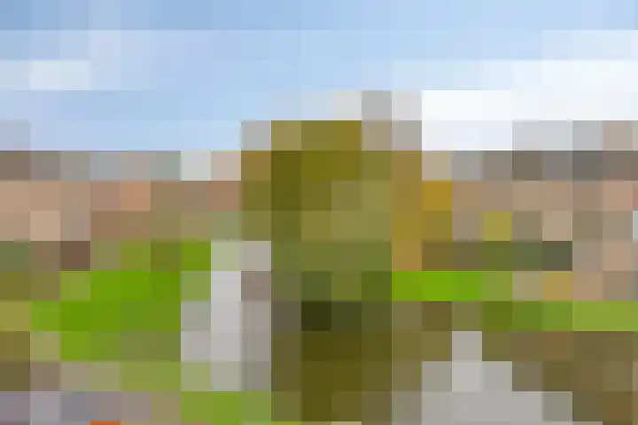 Zwaan 77 Zoeterwoude thumbnail 44