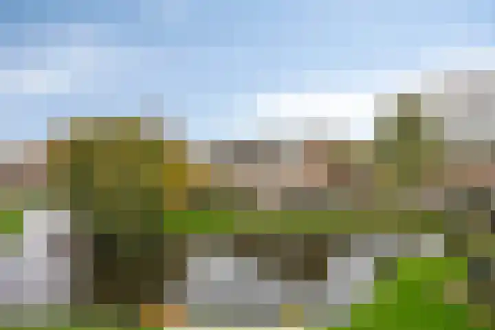 Zwaan 77 Zoeterwoude thumbnail 45