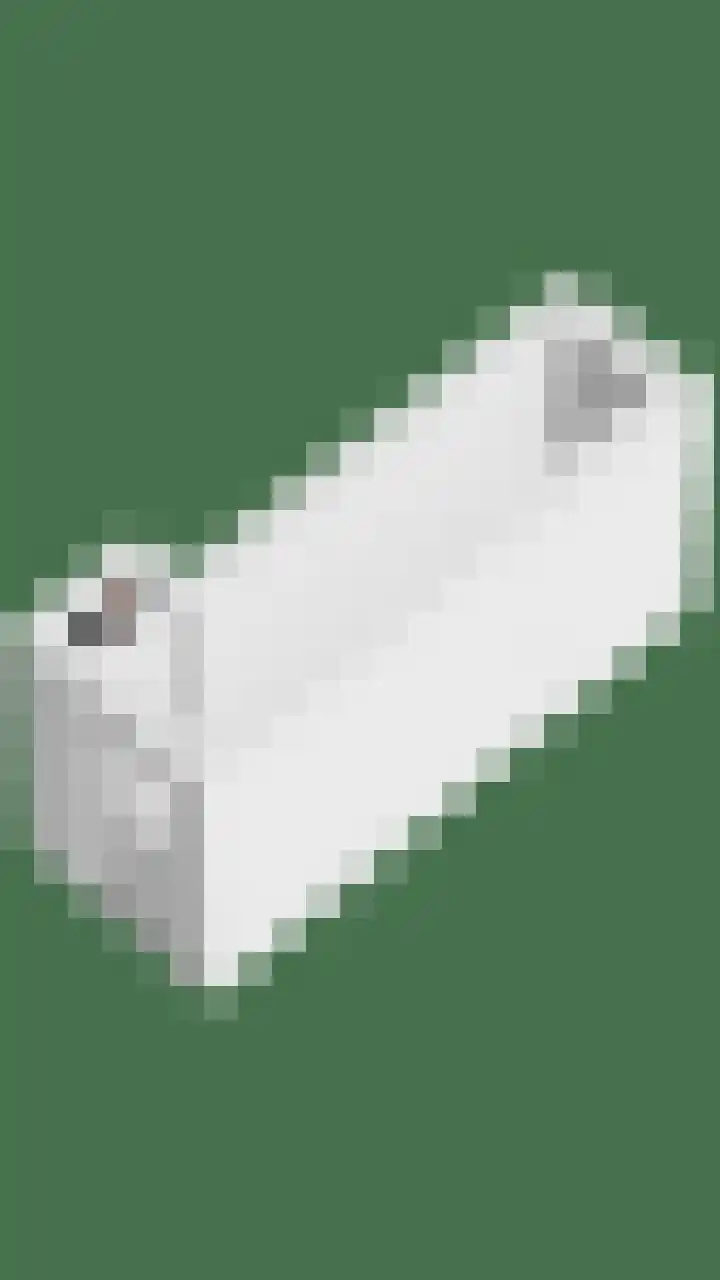 Zwaan 77 Zoeterwoude thumbnail 51