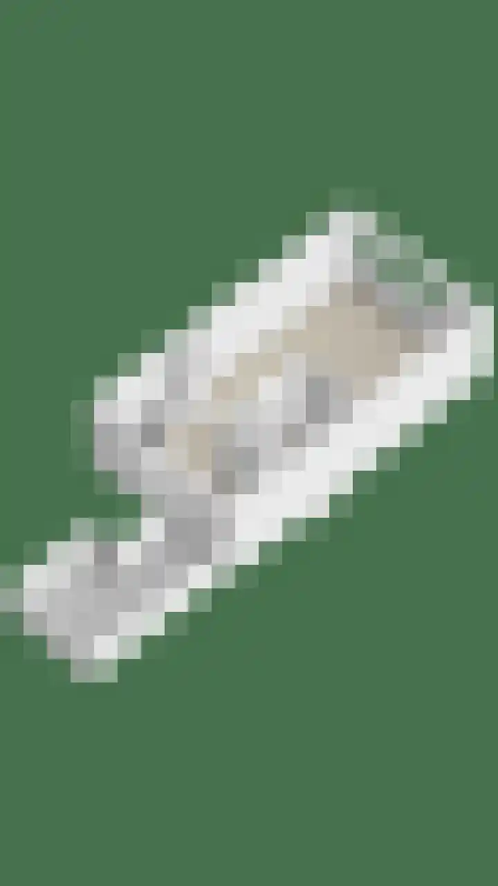 Zwaan 77 Zoeterwoude thumbnail 52