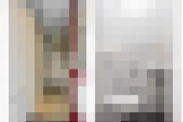 Zwaan 77 Zoeterwoude thumbnail 6