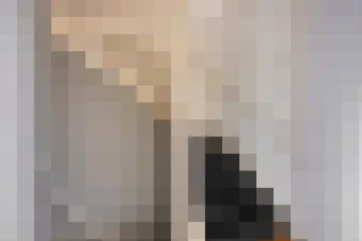 Zwaan 77 Zoeterwoude thumbnail 7