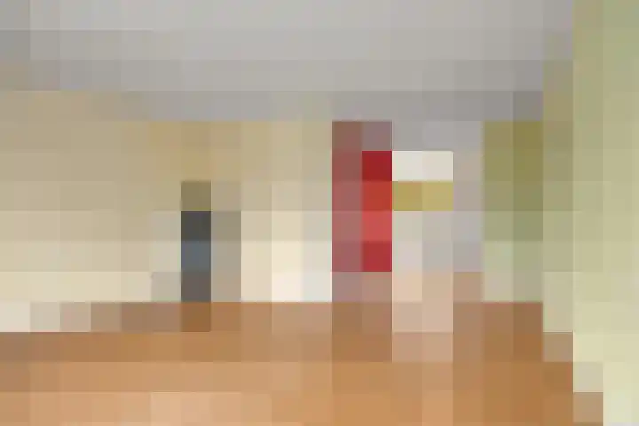Zwaan 77 Zoeterwoude thumbnail 8