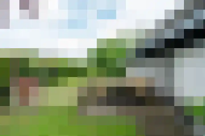 Zwaanshals 151 B in Rotterdam