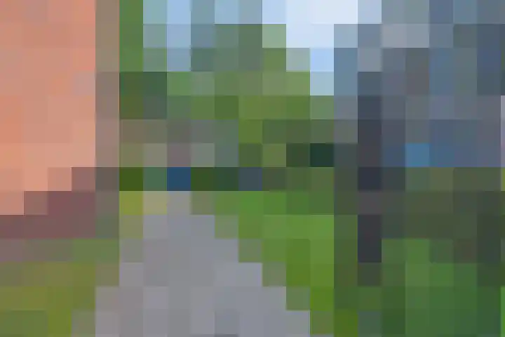 Zwaanstraat 114 Cuijk thumbnail 20
