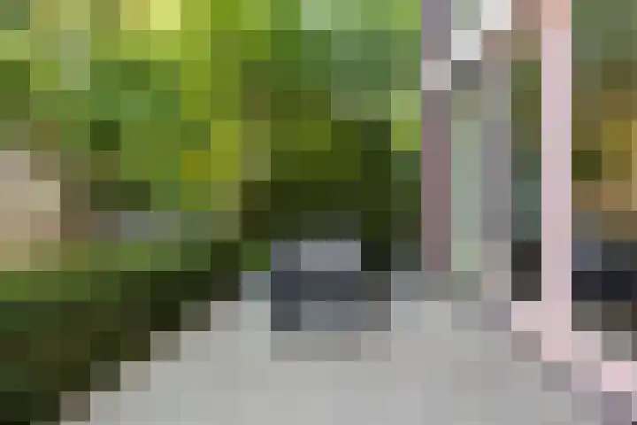 Zwaanstraat 64 Cuijk thumbnail 24