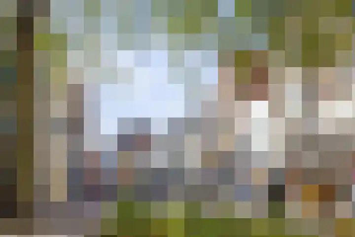 Zwaanstraat 64 Cuijk thumbnail 31