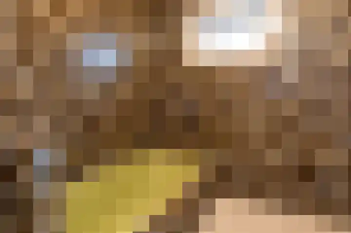 Zwaanstraat 64 Cuijk thumbnail 8